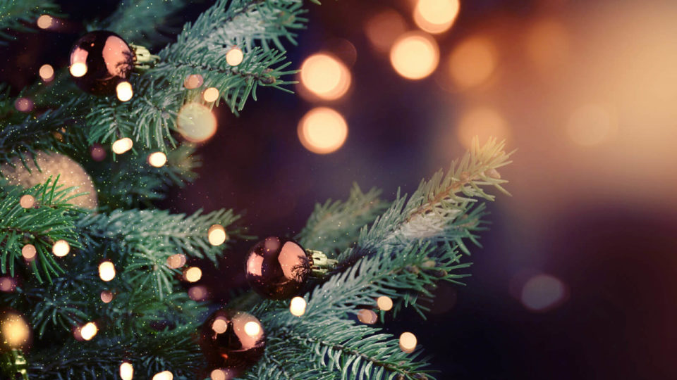 2-Night Christmas Package