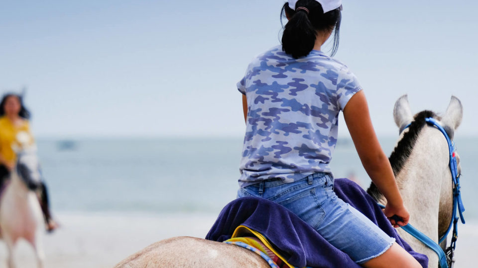 Family Pony Trek Package