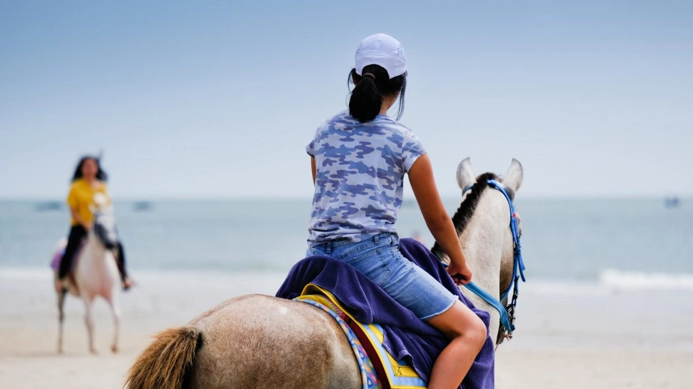 Horse and Pony Trekking