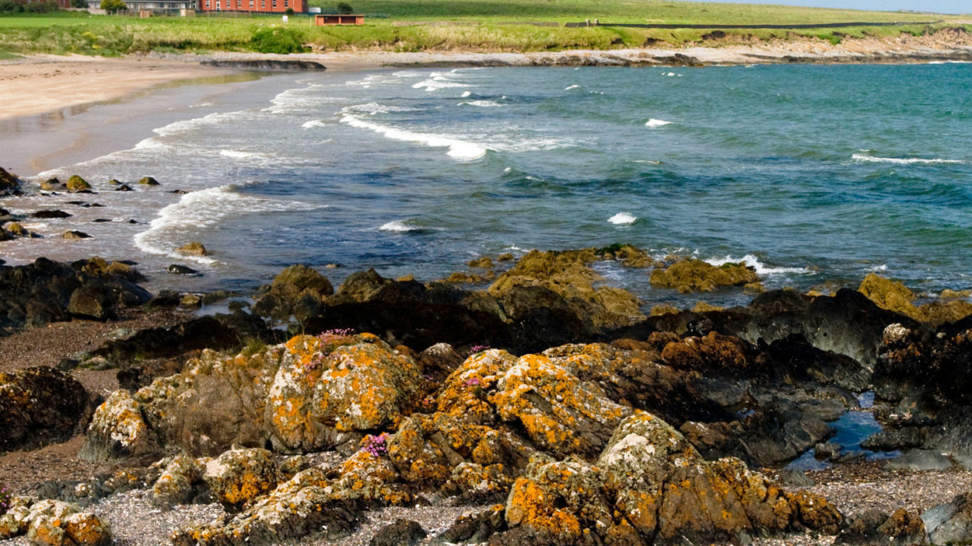 Donabate strand stretching to Portrane portrait