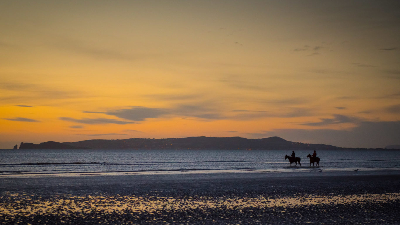 Shoreline Hotel Sunrise Horse Riding