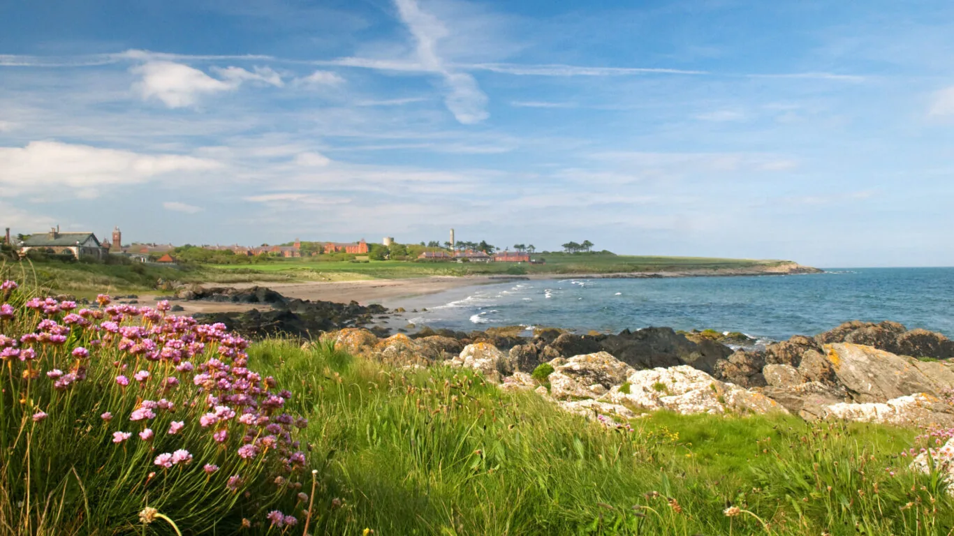 Picturesque seaside view with pink flowers, rocky shoreline, and blue skies near charming coastal village. Relaxing escape.