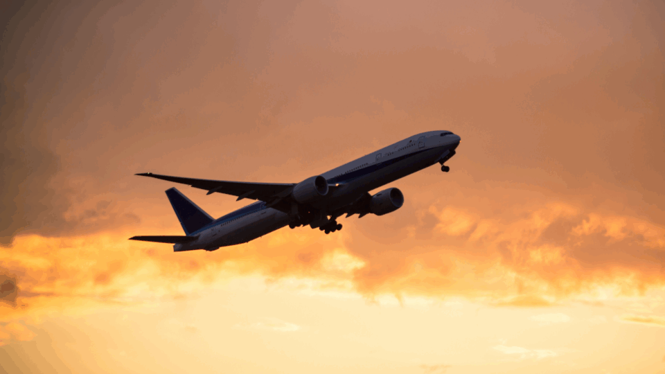 Untitled design (50)