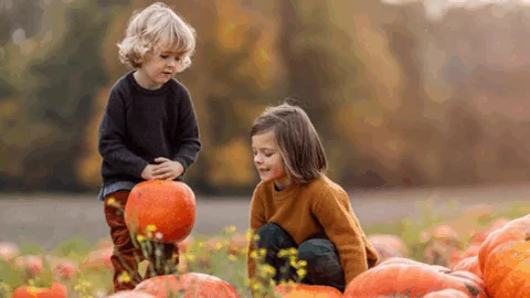 Two children in sweaters sit and stand among large pumpkins in a field with trees in the background on an autumn day.