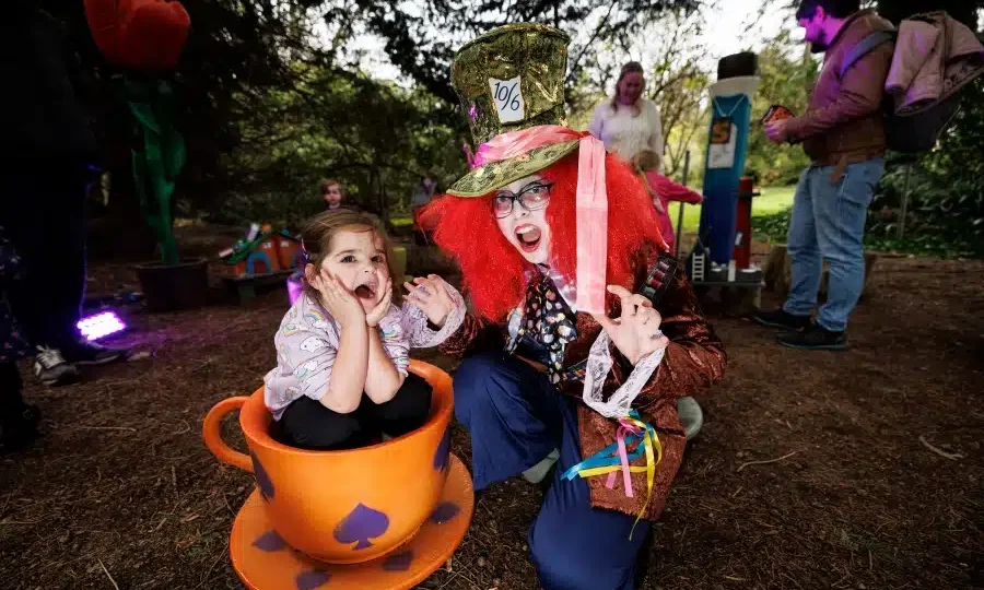 Enchanting woodland play setting with child in teacup and performer in vibrant costume, creating a whimsical family adventure.