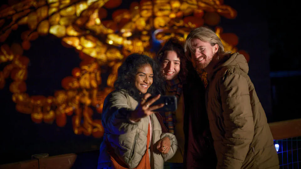 Guests enjoy a magical evening selfie in front of a vibrant dragon light display at the hotel garden festivities.